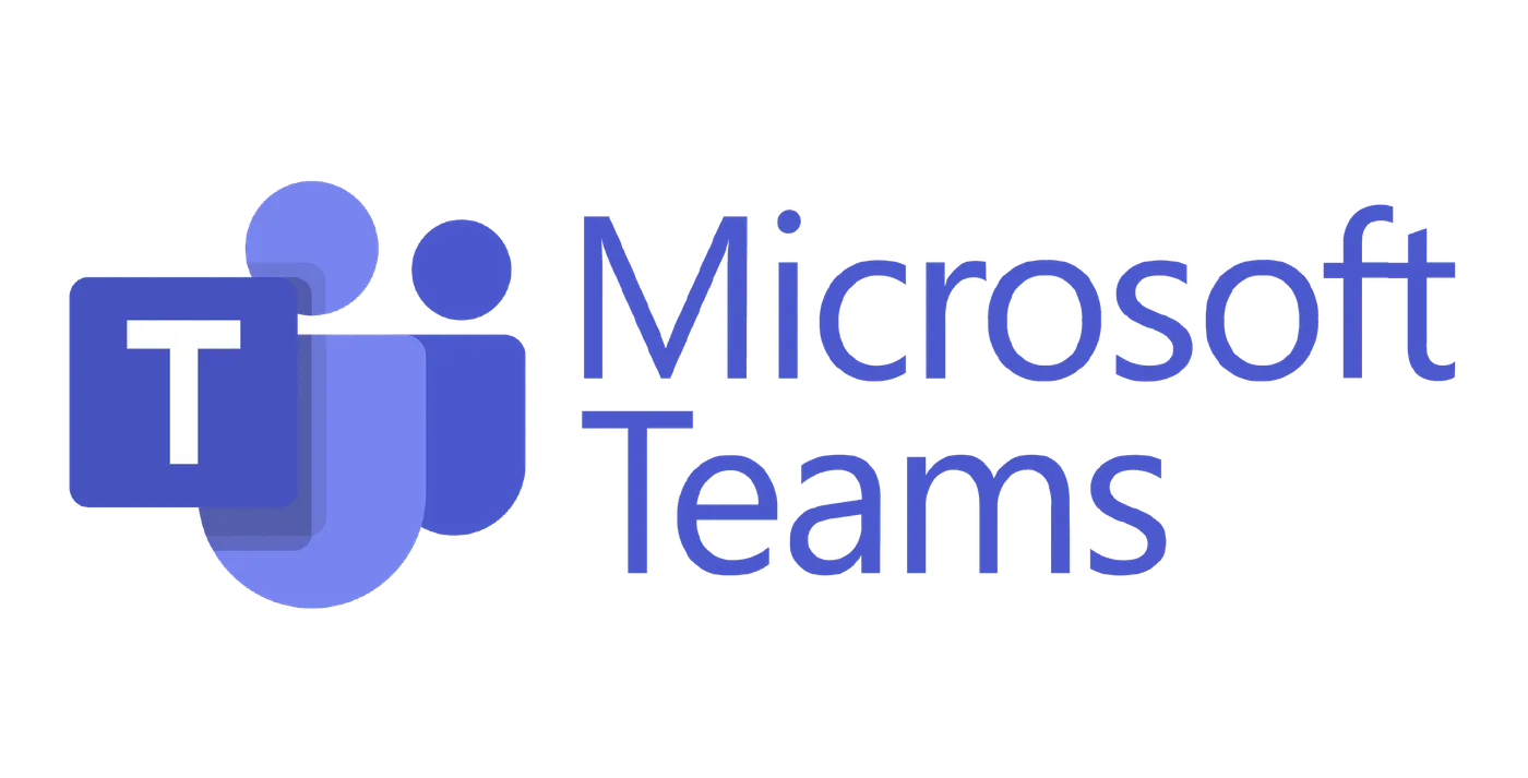 Ms teams large