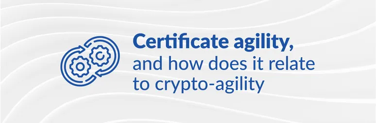 Certificate crypto agility