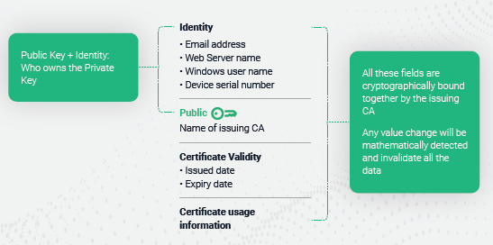Digital identity certificates leverage PKI to offer the easiest, most secure form of passwordless authentication